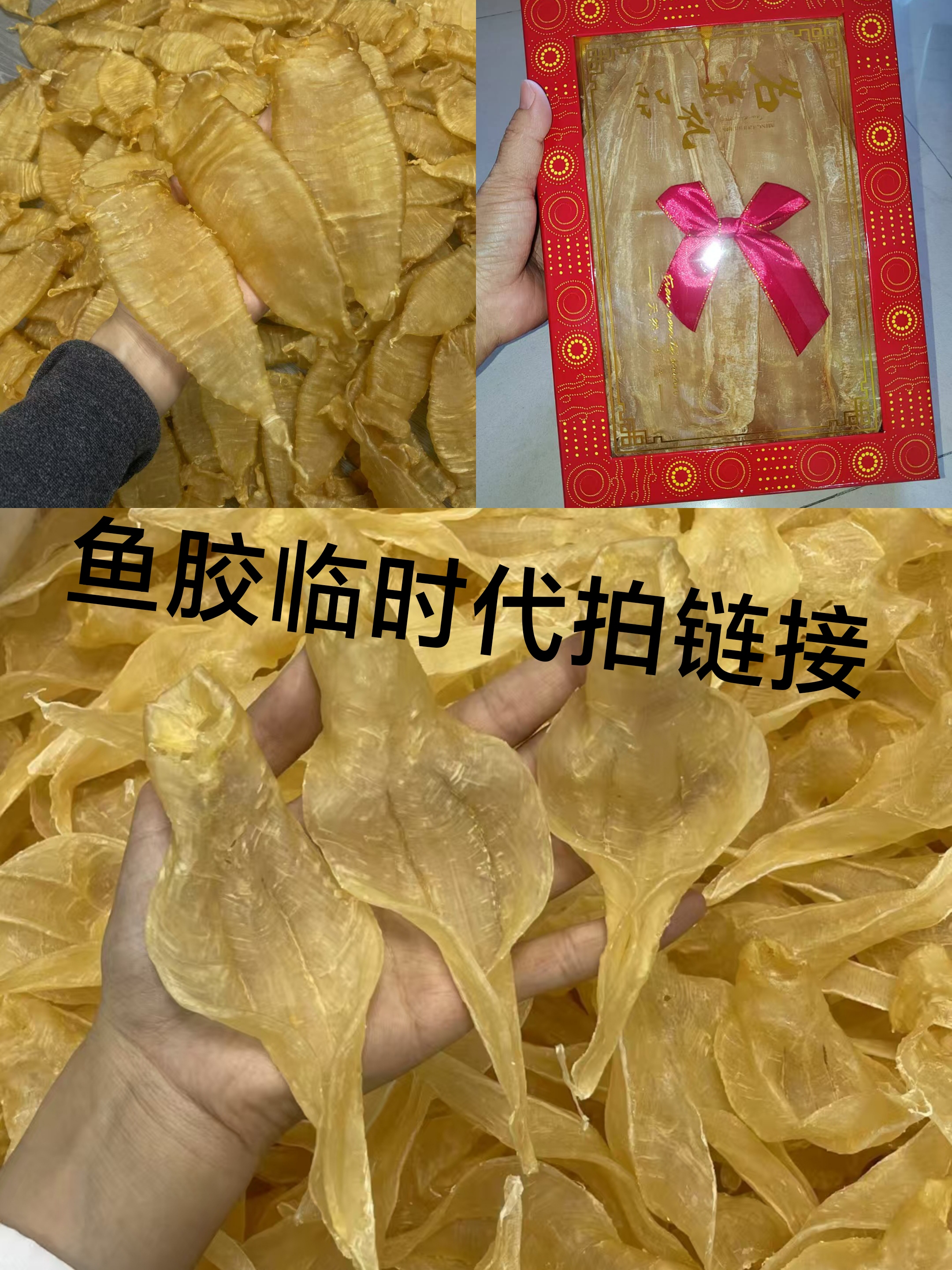 各种鱼胶临时代拍链接1克~1000克32.5