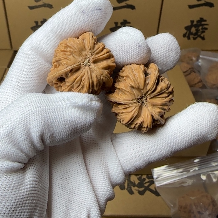 文玩核桃吊坠Z*張简单包装33尺寸玉龙三棱