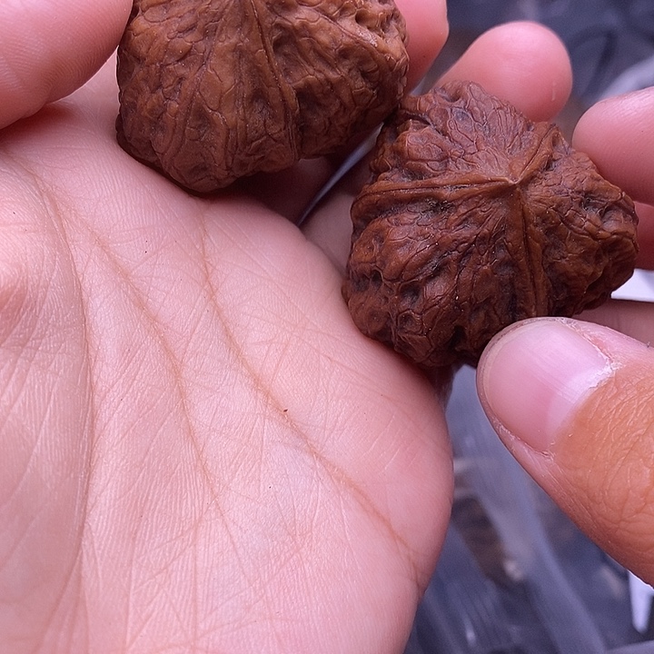 老***哥把件文玩核桃   147
