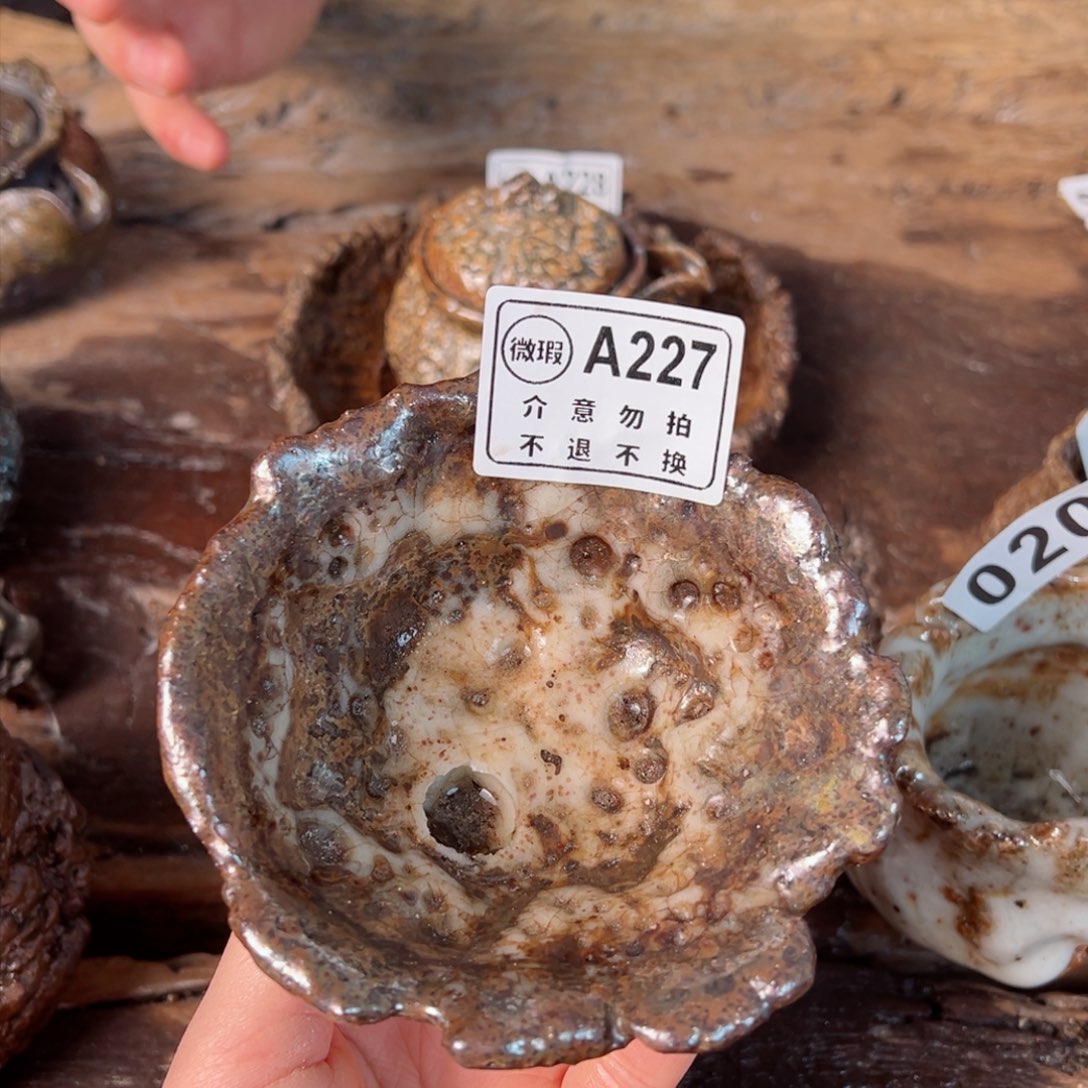 壶杯一一一一一一一一227