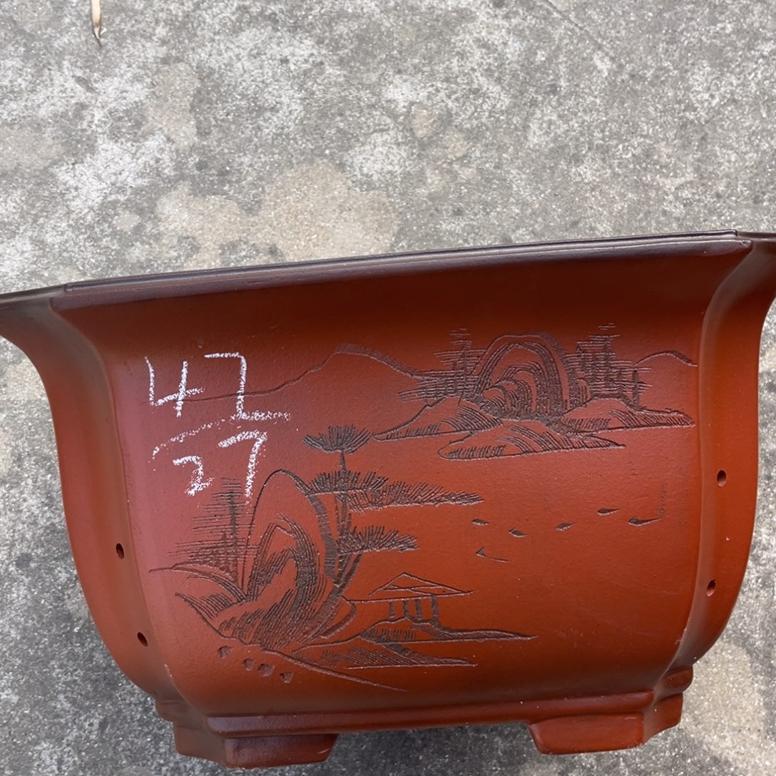 花盆紫砂盆景艺术