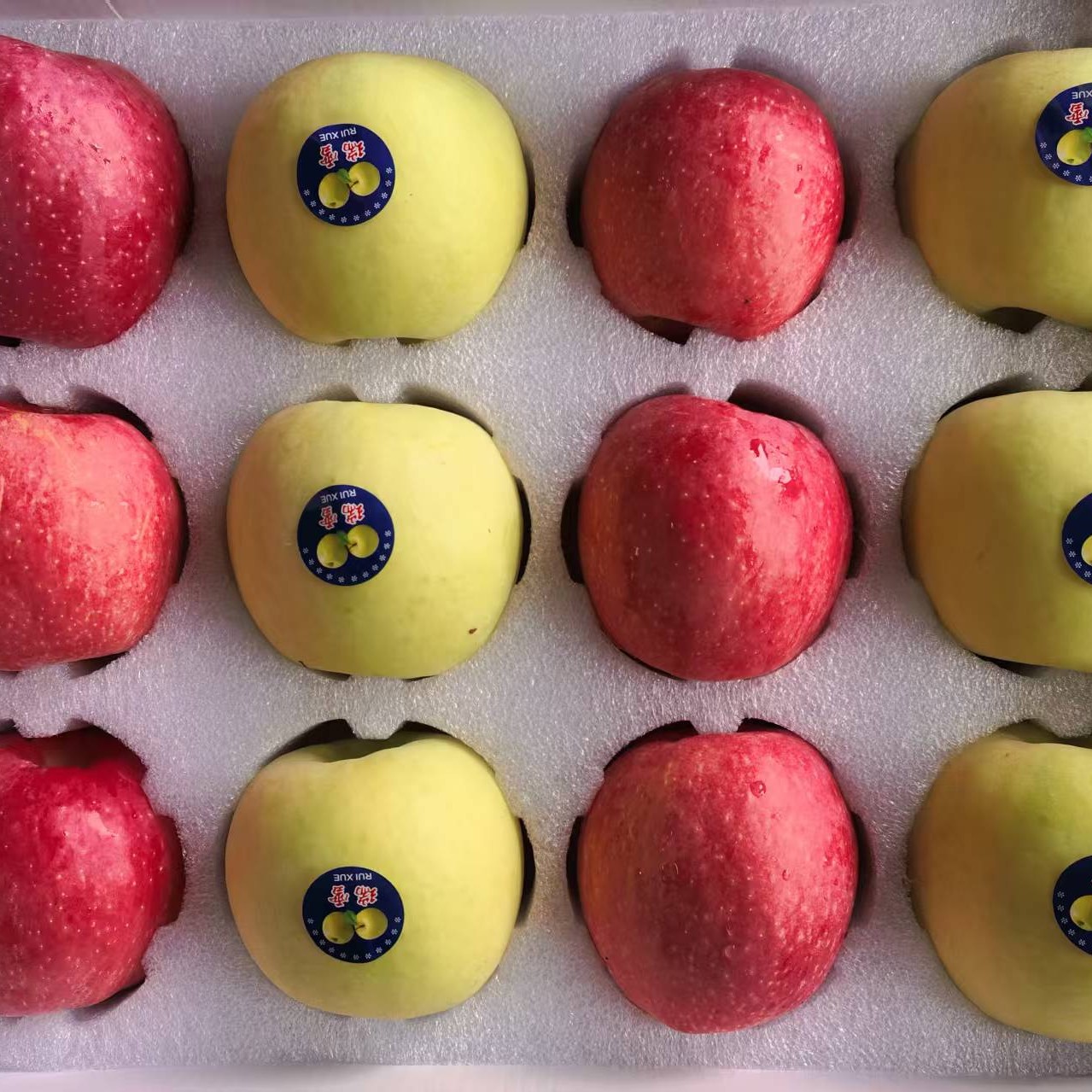 当季鲜果瑞香红，瑞雪，双拼高档礼盒