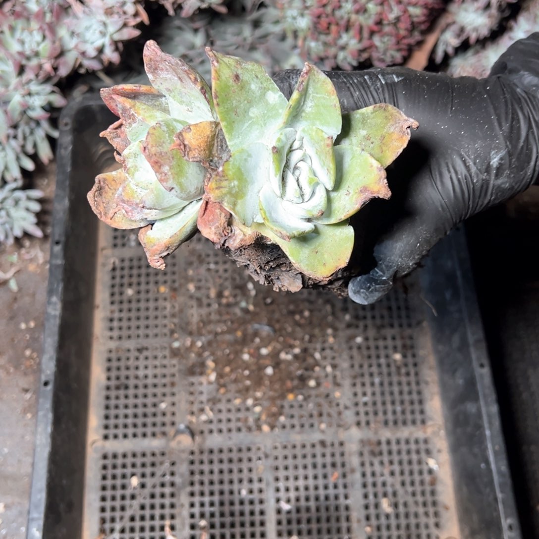 6348哈哈哈哈哈哈哈