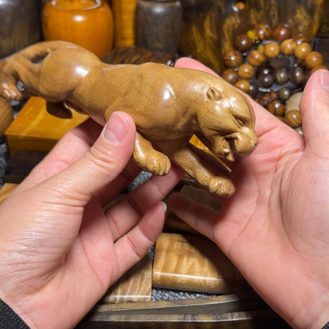 金丝楠豹子小叶桢楠