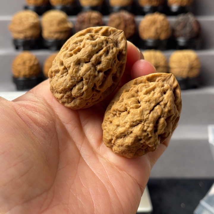 把件文玩核桃8-14