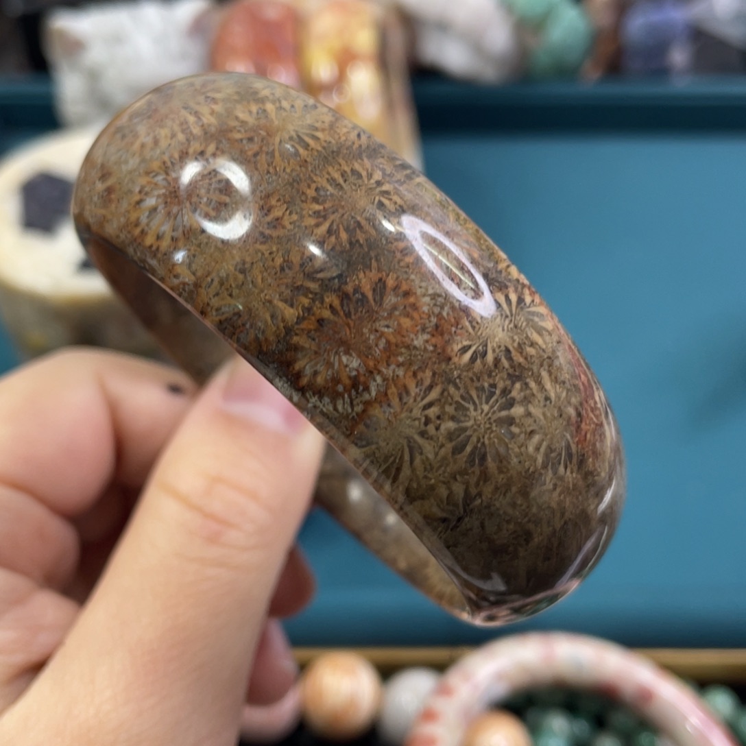 未镶嵌手镯硅化玉