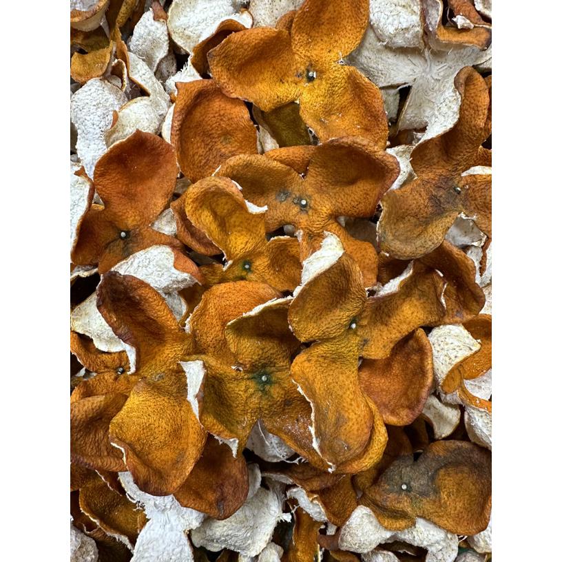 新会天马圈枝大红陈皮老树生态种植自然生晒