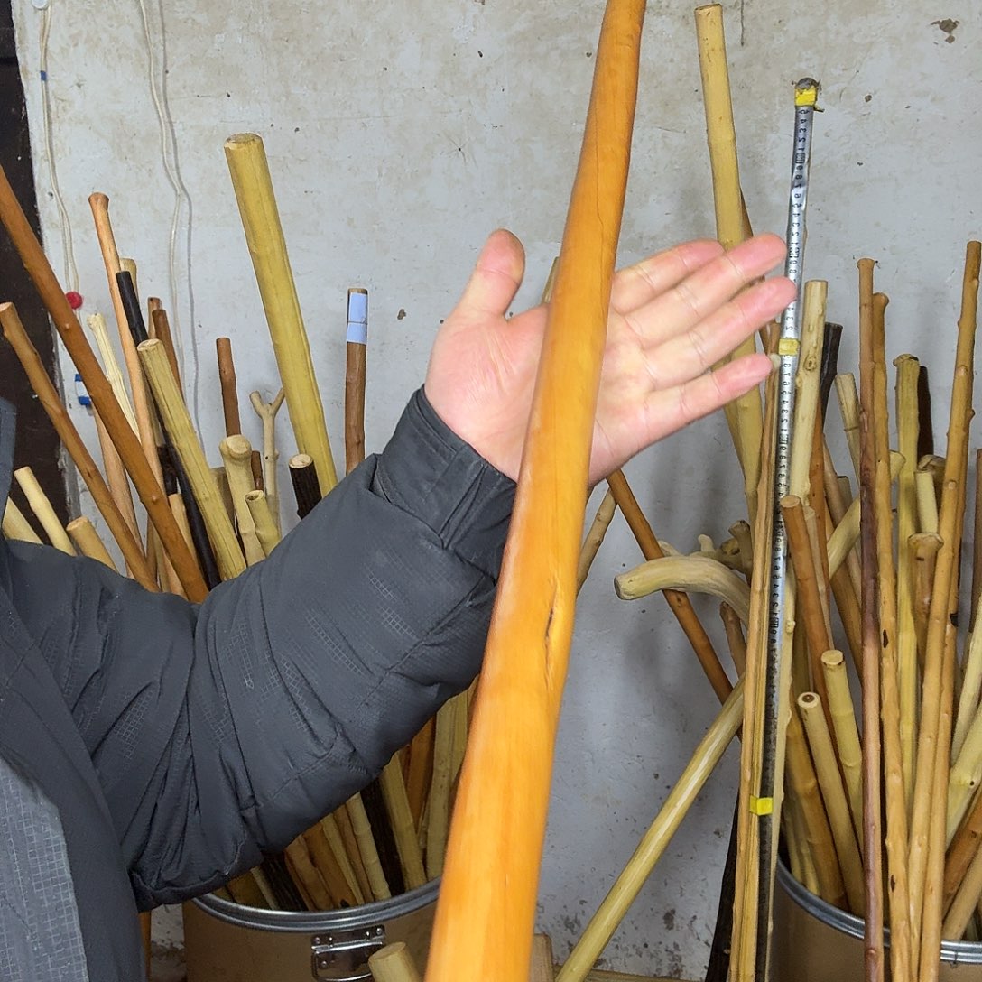 立***权好好好好好哈哈哈哈哈哈