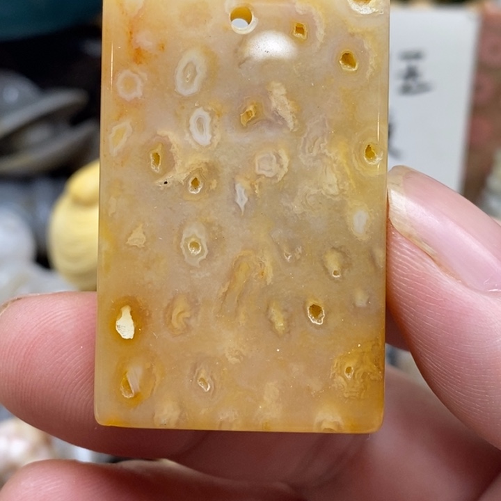 硅化珊瑚（珊瑚玉）未镶嵌颈饰