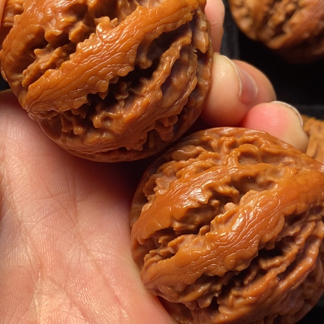 文玩核桃把件秦岭山脉核桃