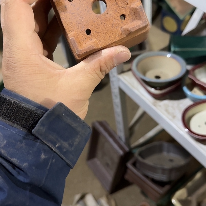 我想说我们也没见他说你没来