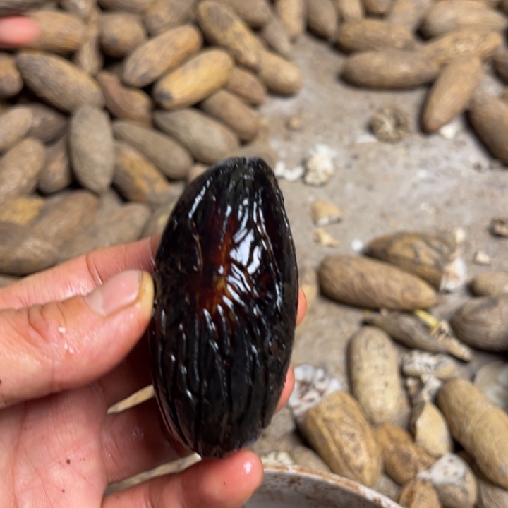 吊坠千眼菩提千眼菩提老油果。