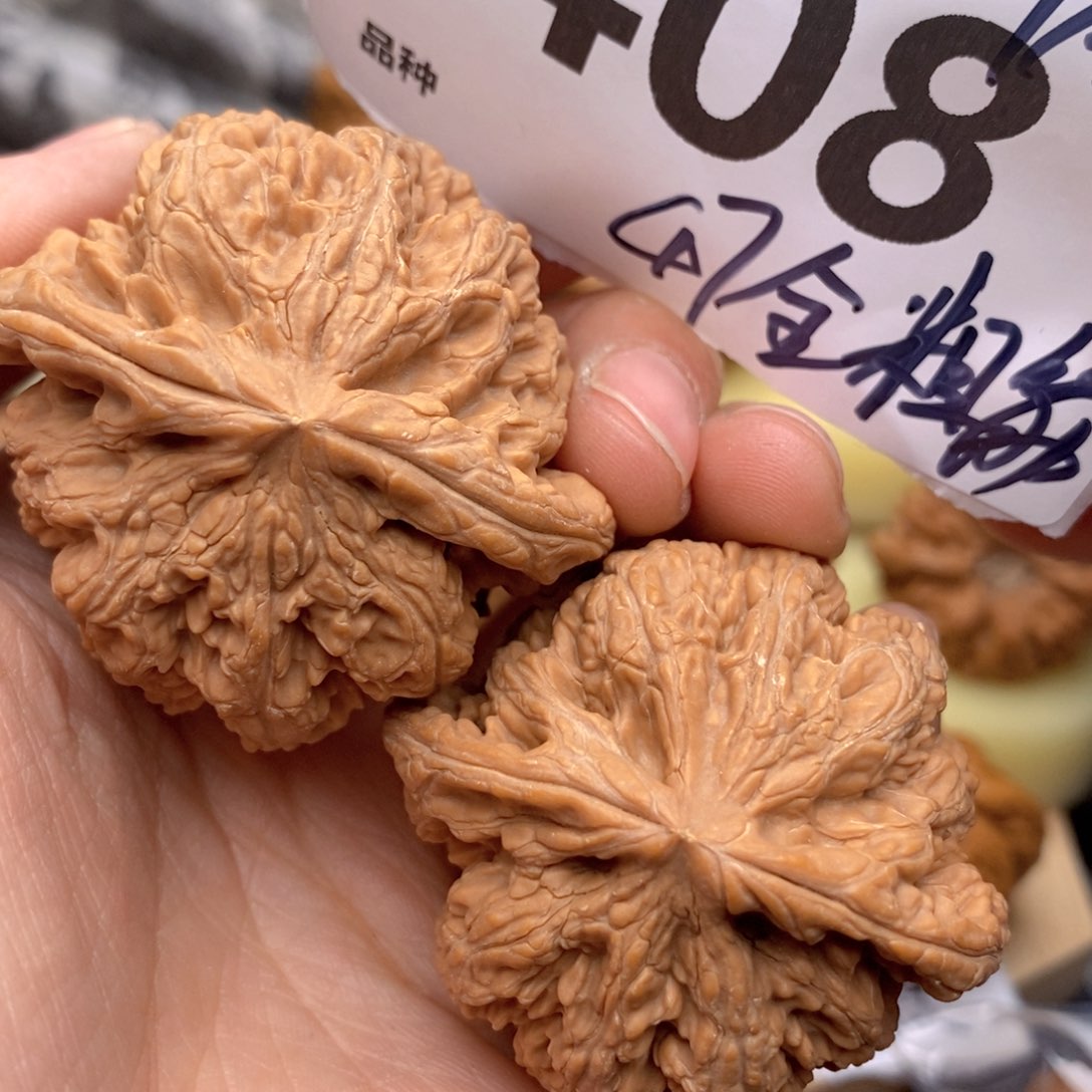 文玩核桃把件408号47全粗筋