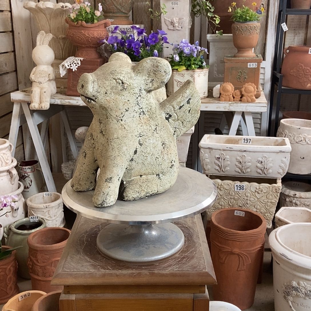 飞猪大号11111111111