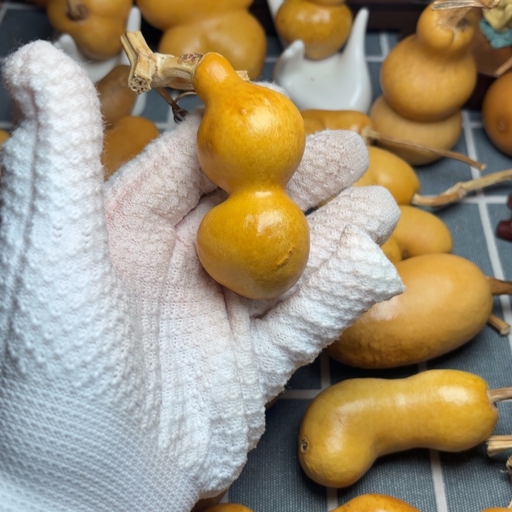 番****葫芦风裂6666666666666