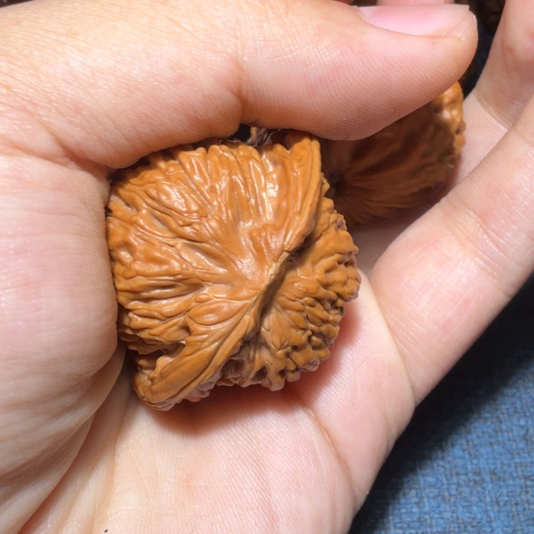 文玩核桃把件戸*汗高楼41尺寸52