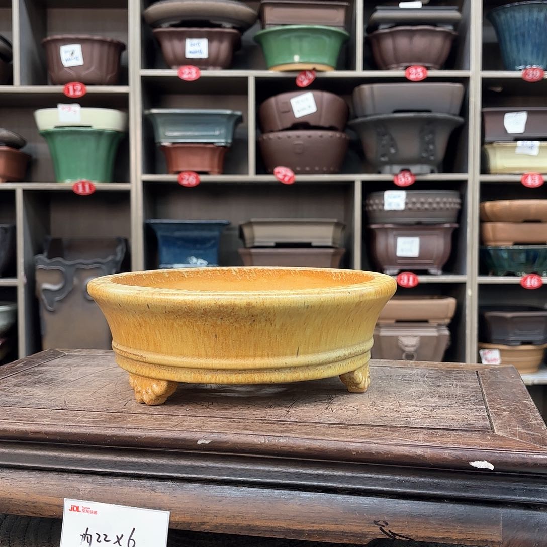 紫砂花盆紫砂的味道很浓很浓