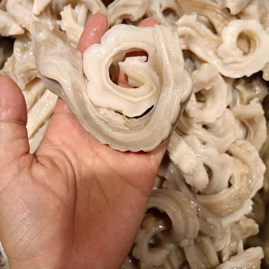 新鲜鲜脆鲨鱼肚 煲汤 凉拌 爆炒 净重5斤顺丰发货