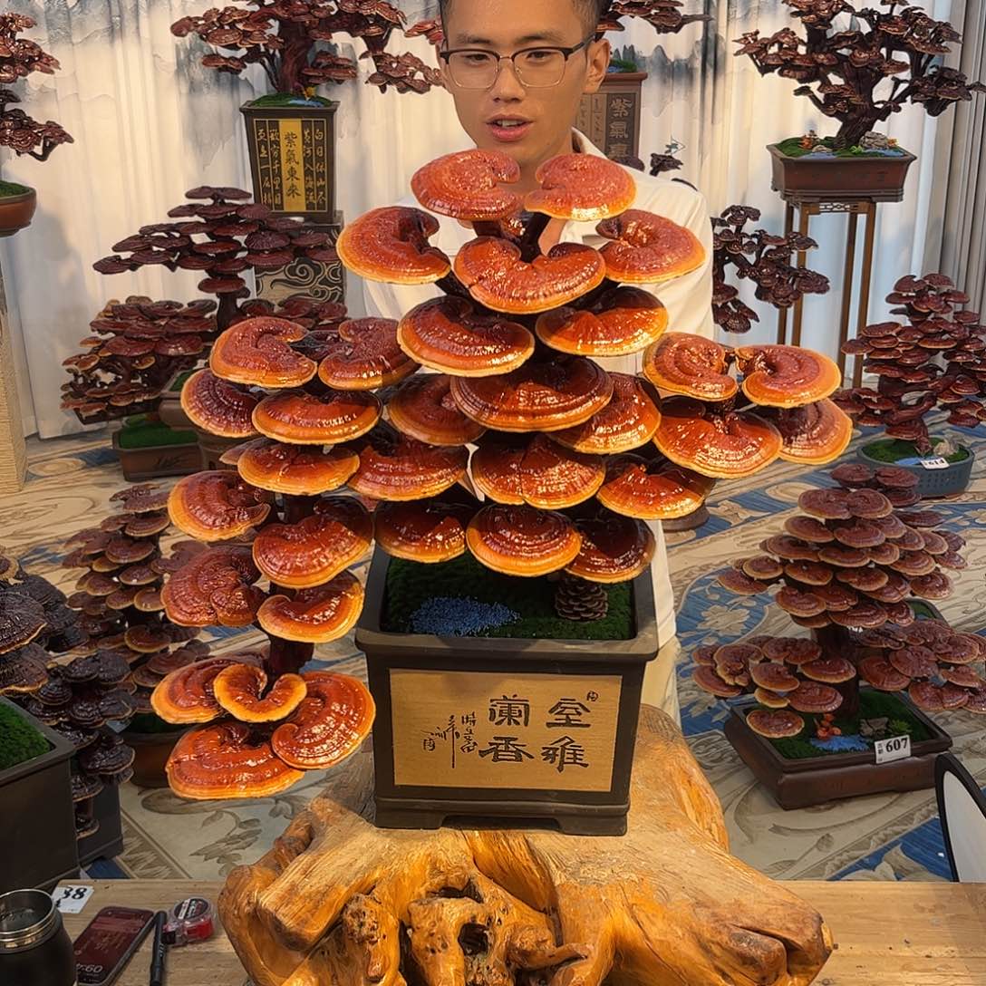 无花朵888888888888888888