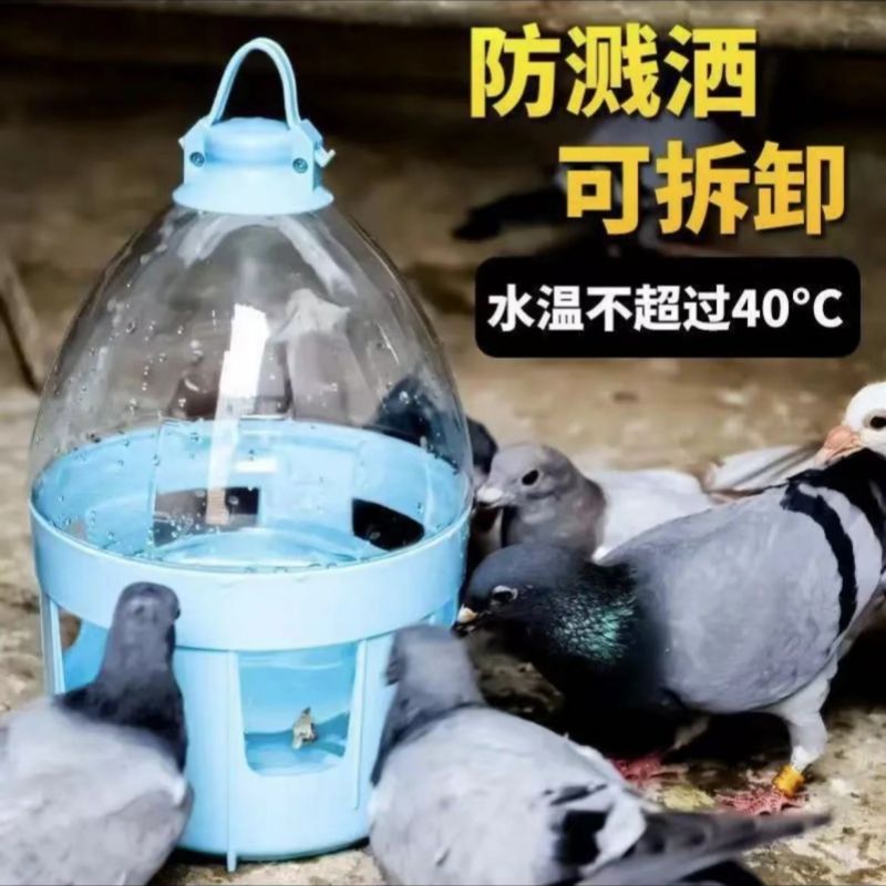 自动喂水信鸽饮水器