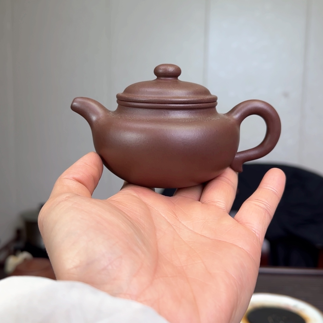 紫砂茶壶王*海黄龙山底槽清全手工小仿古180c c