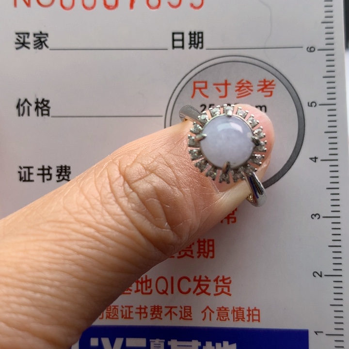 翡翠颈饰银S925镶嵌天然翡翠