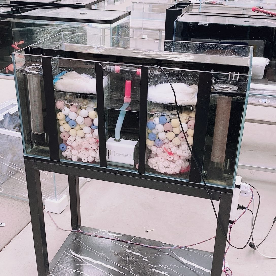 唯***倩玻璃604040背双鱼缸不要水泵