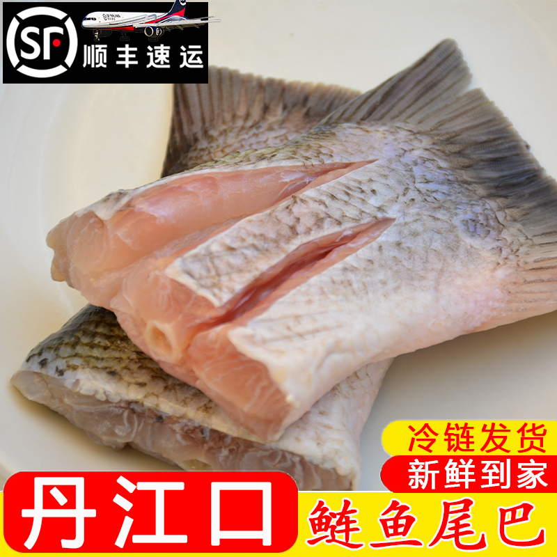 丹江口【鲢鱼尾】湖北胖头鱼尾巴新鲜现杀大头鱼尾巴商用速冻水产