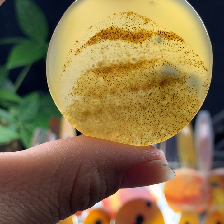 玛瑙/玉髓颈饰未镶嵌26