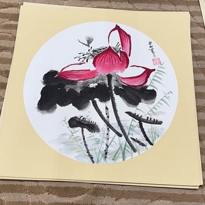 国画花鸟的翅膀和翅膀是50.50