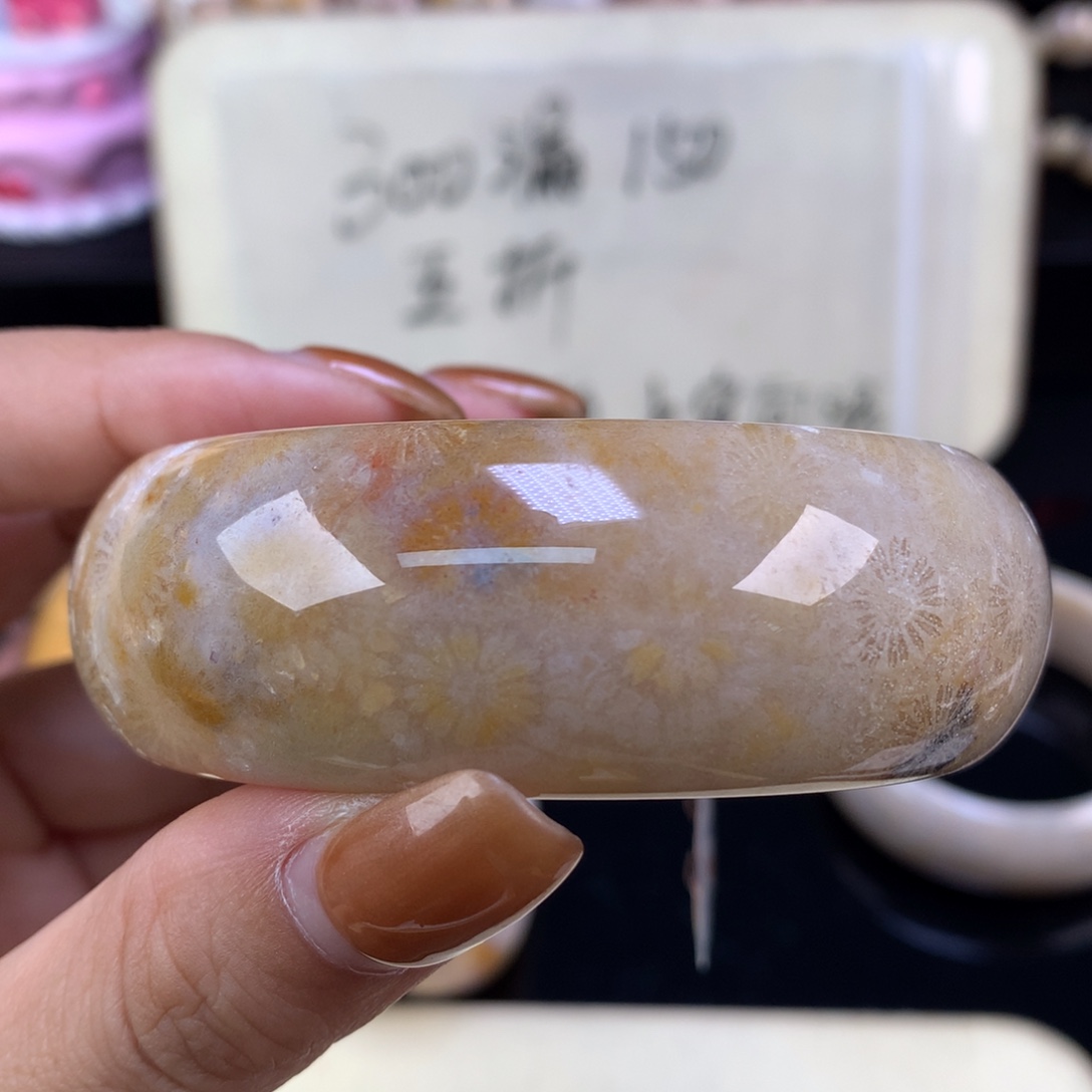 硅化珊瑚（珊瑚玉）未镶嵌颈饰晚场漏价五折55.2口（17号）