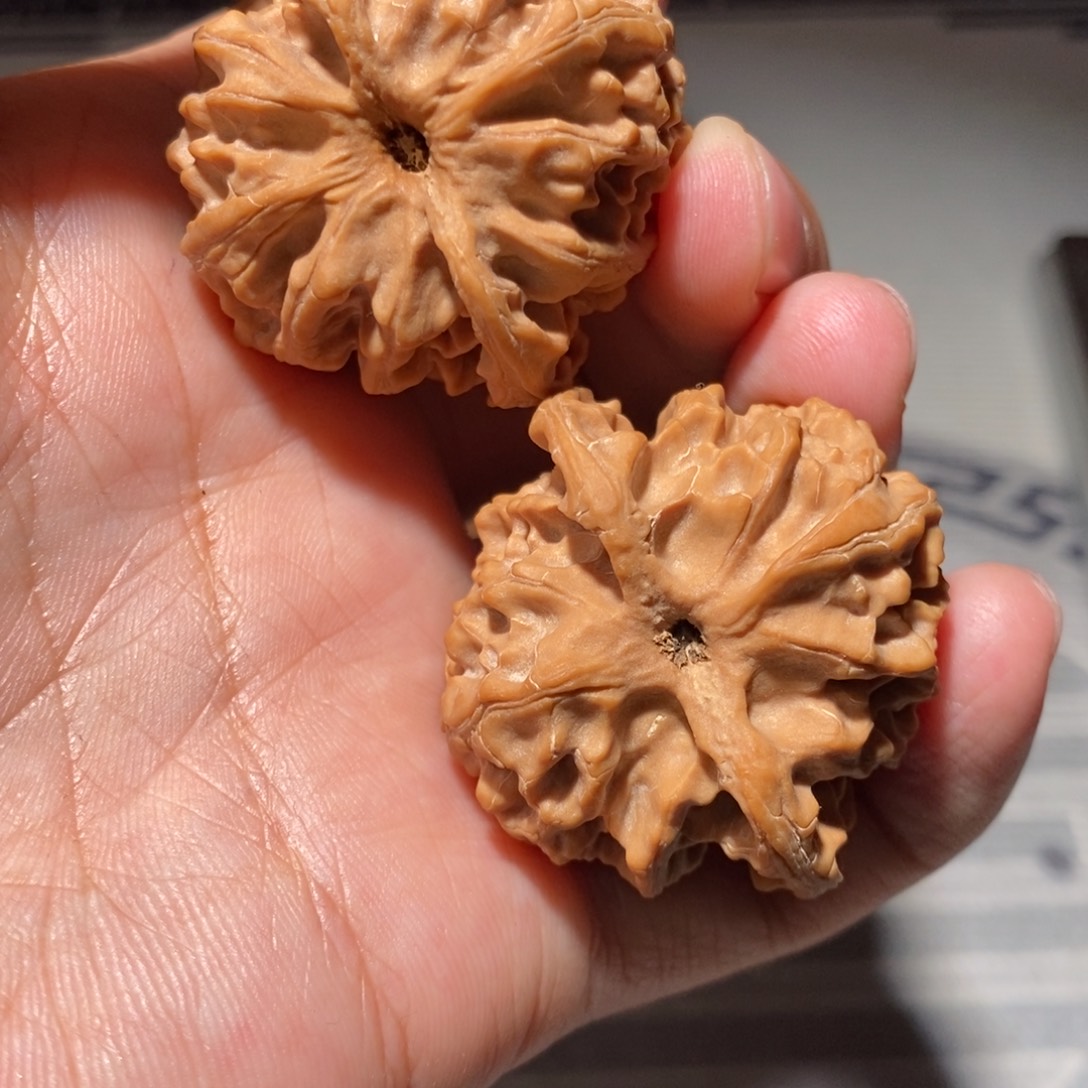 文玩核桃把件016苹果园40尺头货对