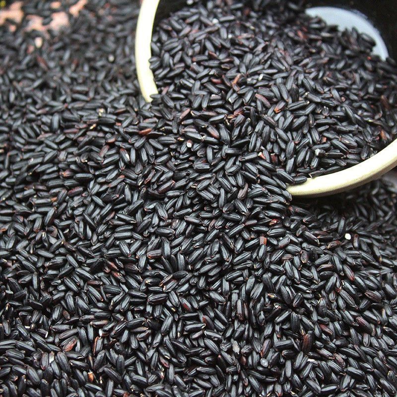 陕北农家自种老品种 黑米（掉色为花青素营养、介意勿拍）