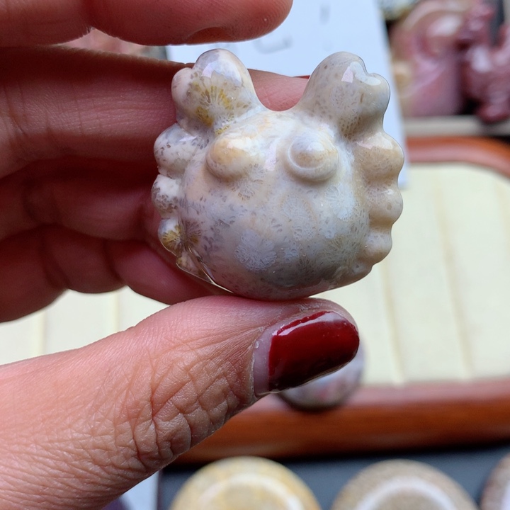 硅化珊瑚（珊瑚玉）颈饰未镶嵌