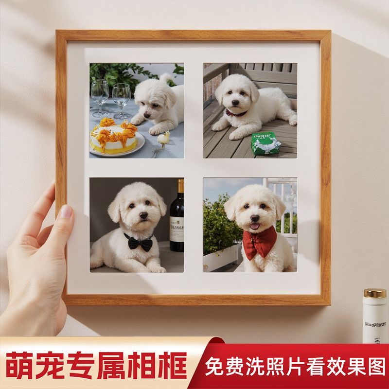 宠物相册一物一拍