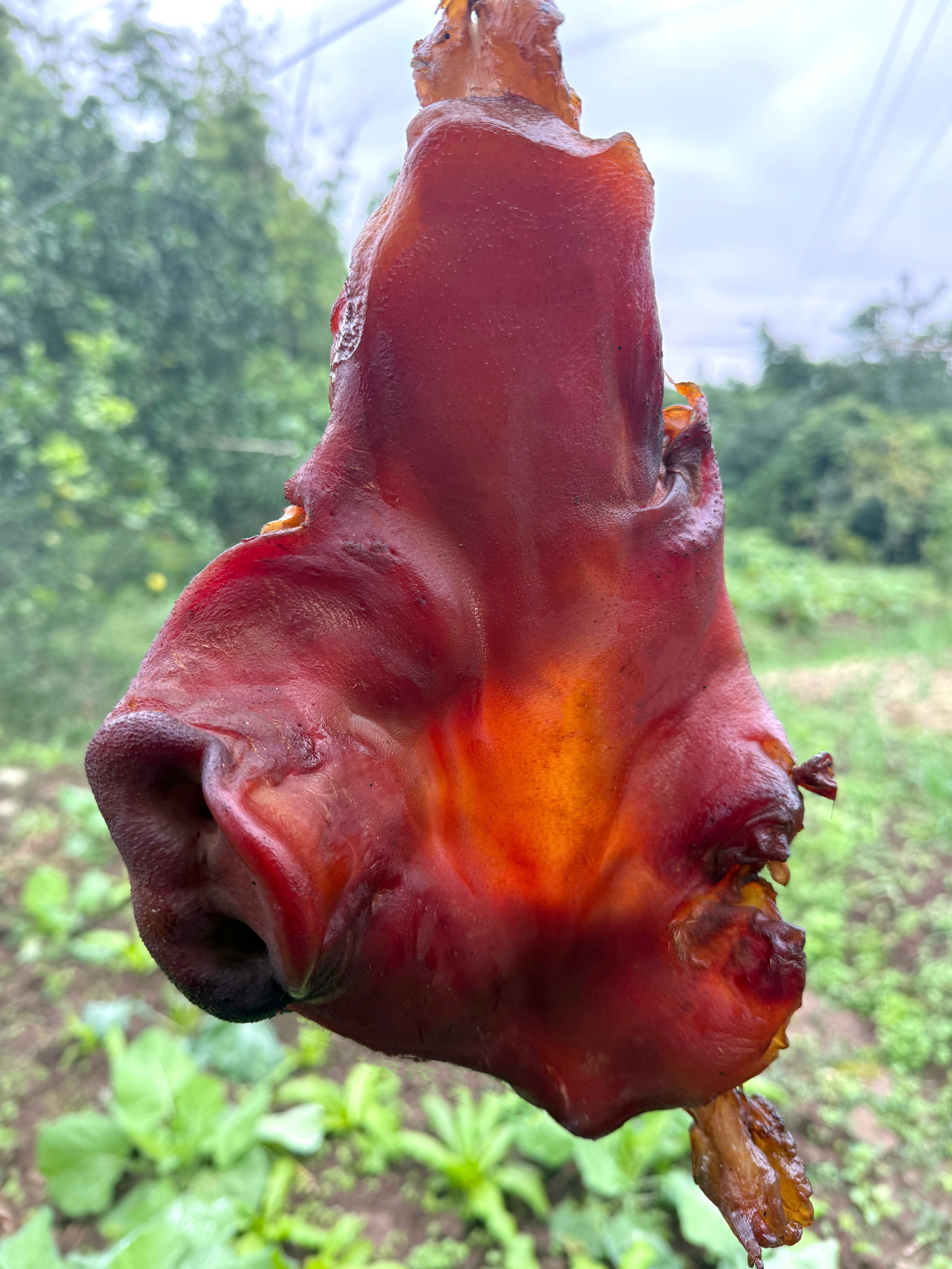 腊猪拱嘴重庆特产粮食土猪农家柴火烟熏正宗腌制美食