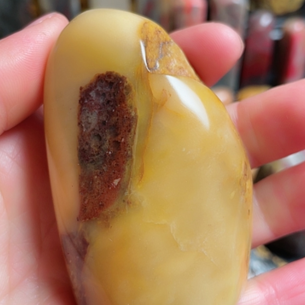 【闪购商品】昌化石昌化石随型