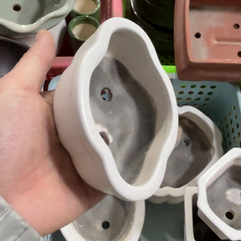 ［所有订单凑满15明天发］11×7×4