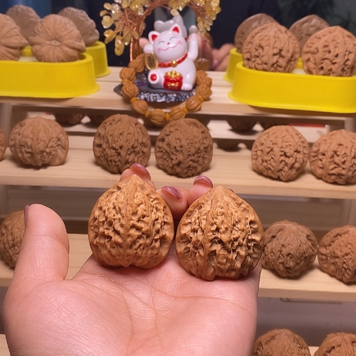 39尺寸的金牛核桃