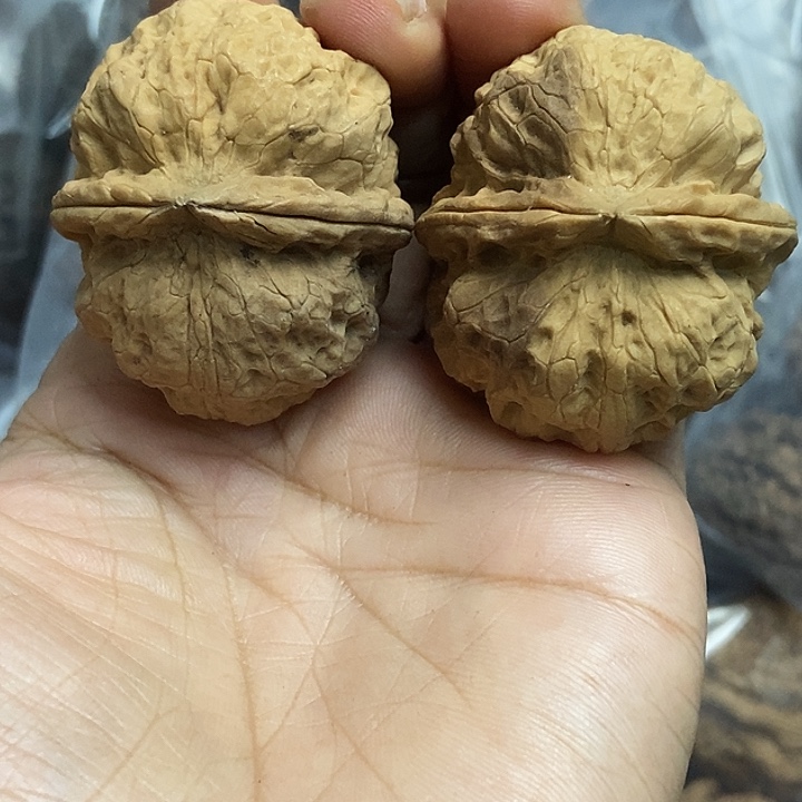 把件文玩核桃云南铁核桃基地29