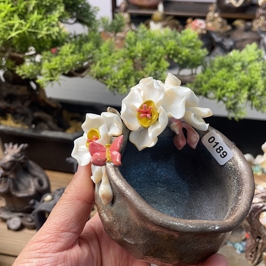 杯子水仙花花杯子杯子