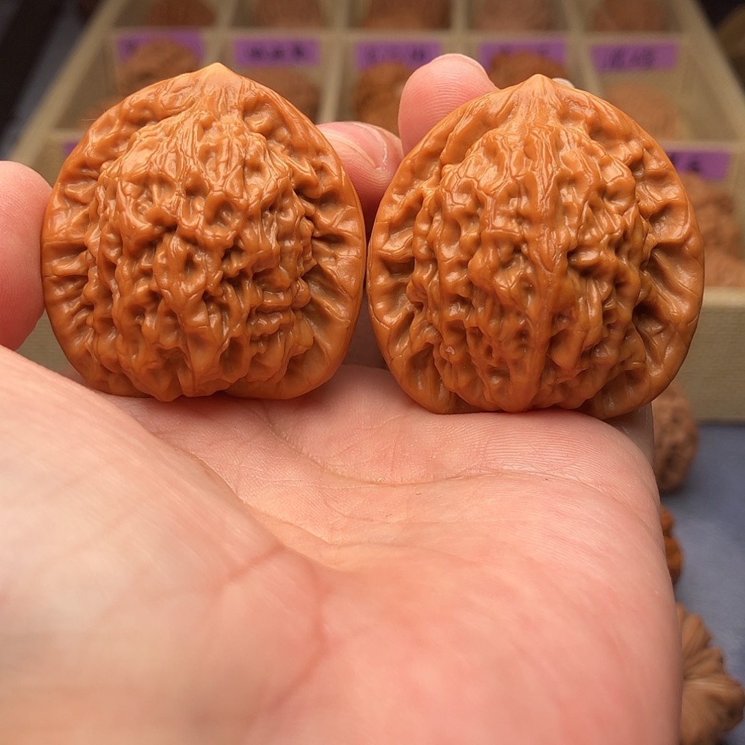 文玩核桃把件金公子41（头货精品