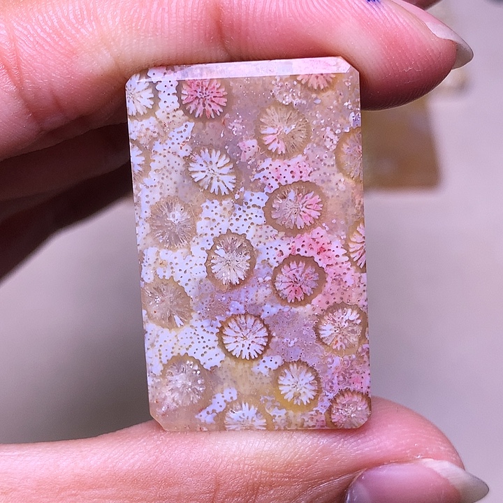 k***y硅化玉合金珊瑚玉