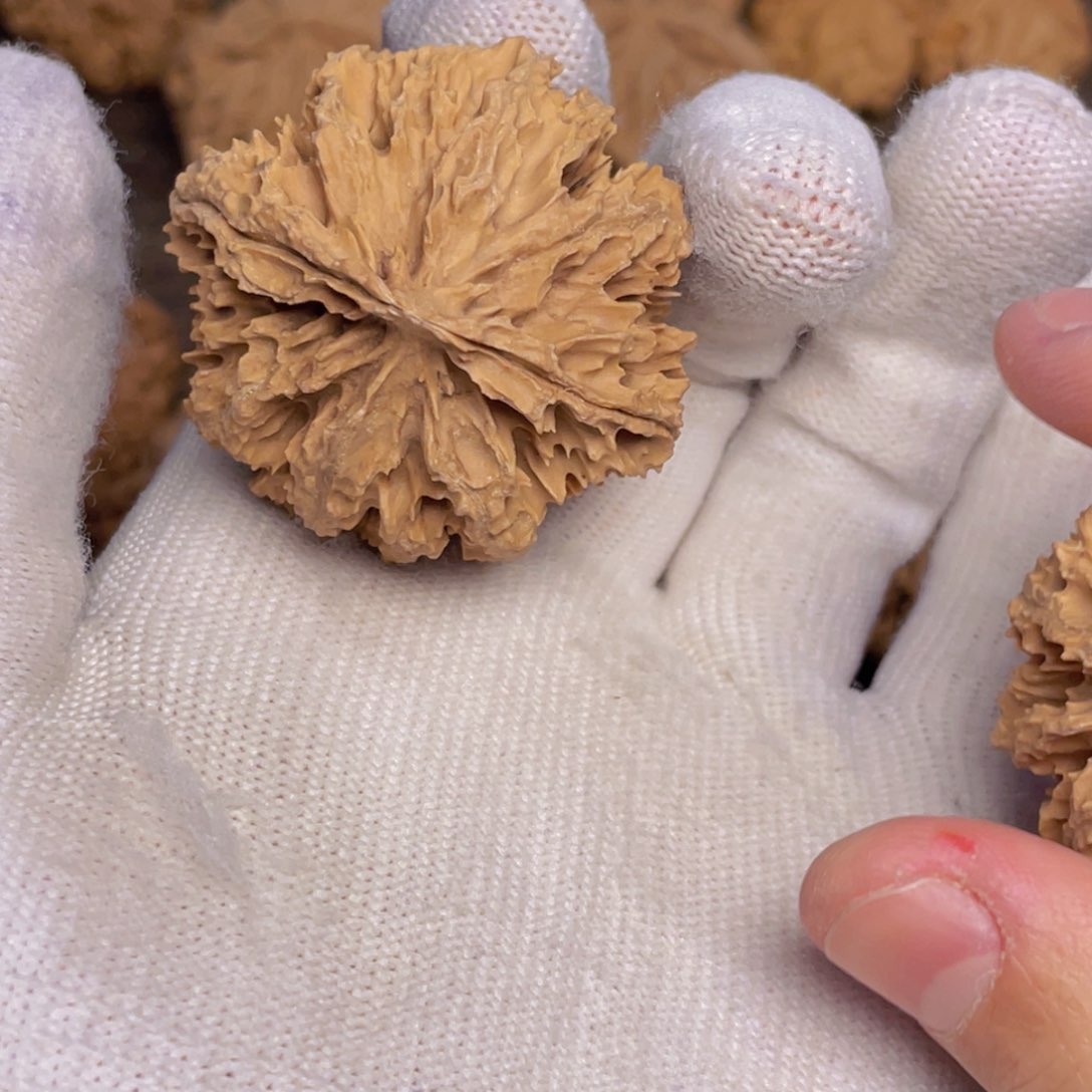 文玩核桃吊坠你****n2 秦岭灯笼野生小众