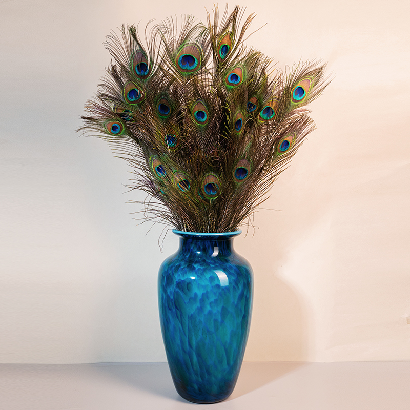 H015孔雀羽毛组合30支家用酒店装饰摆件工艺羽毛摆件时尚