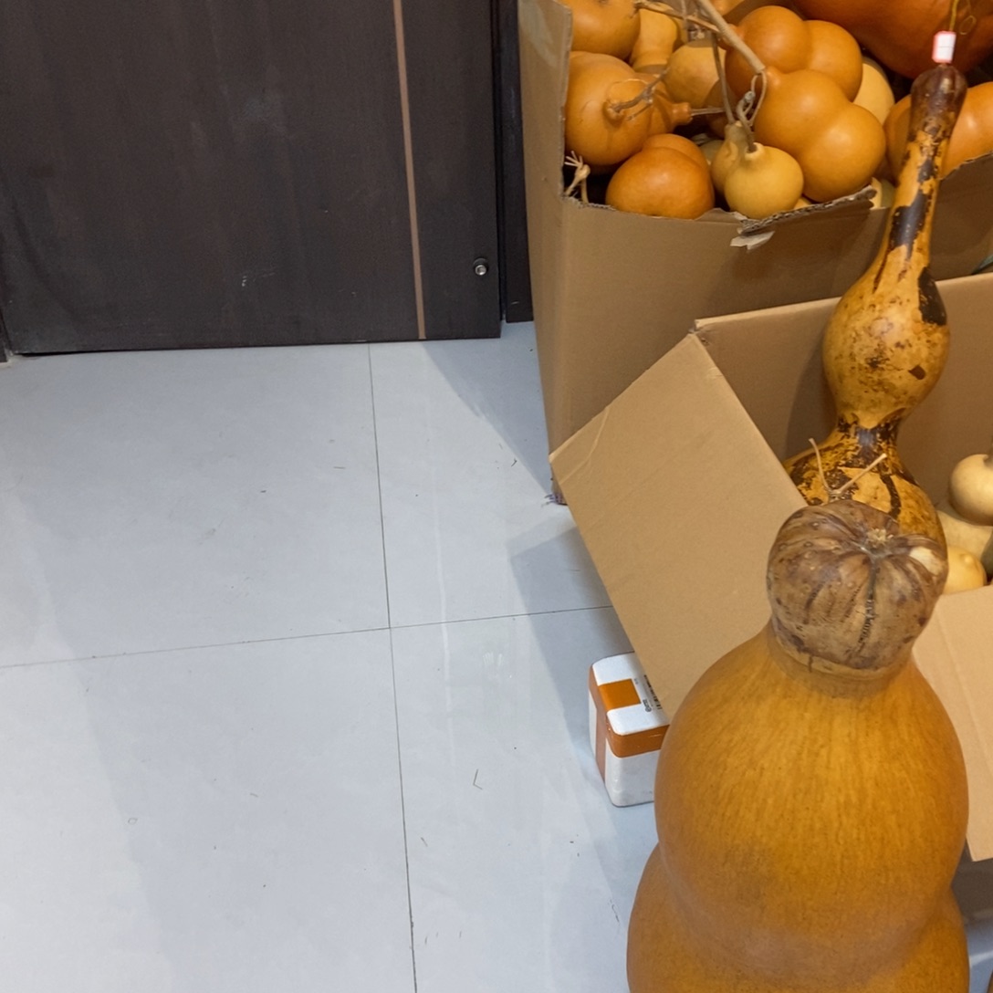 花***朵哈哈哈哈哈哈哈哈哈哈哈