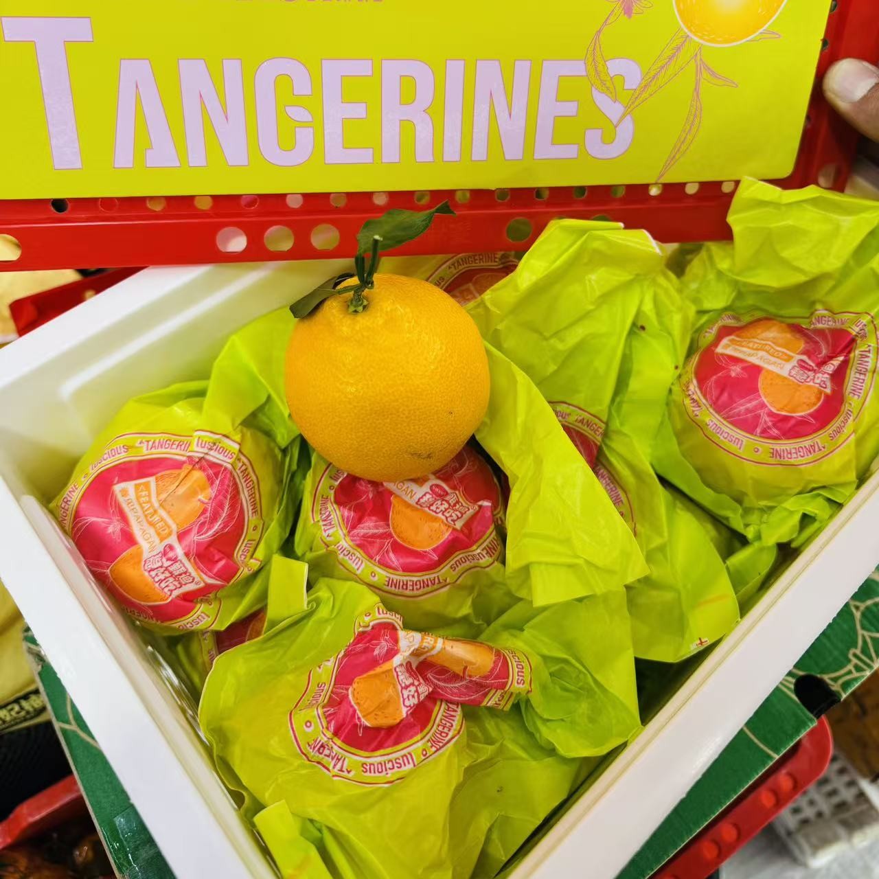 春见耙耙柑一箱毛重5斤四川省