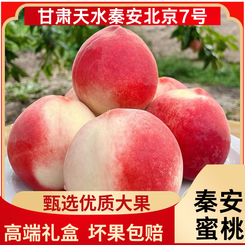 【热销款】秦安水蜜桃北京七号 天然蜜罐 颗颗精选甜过初恋脆软两吃