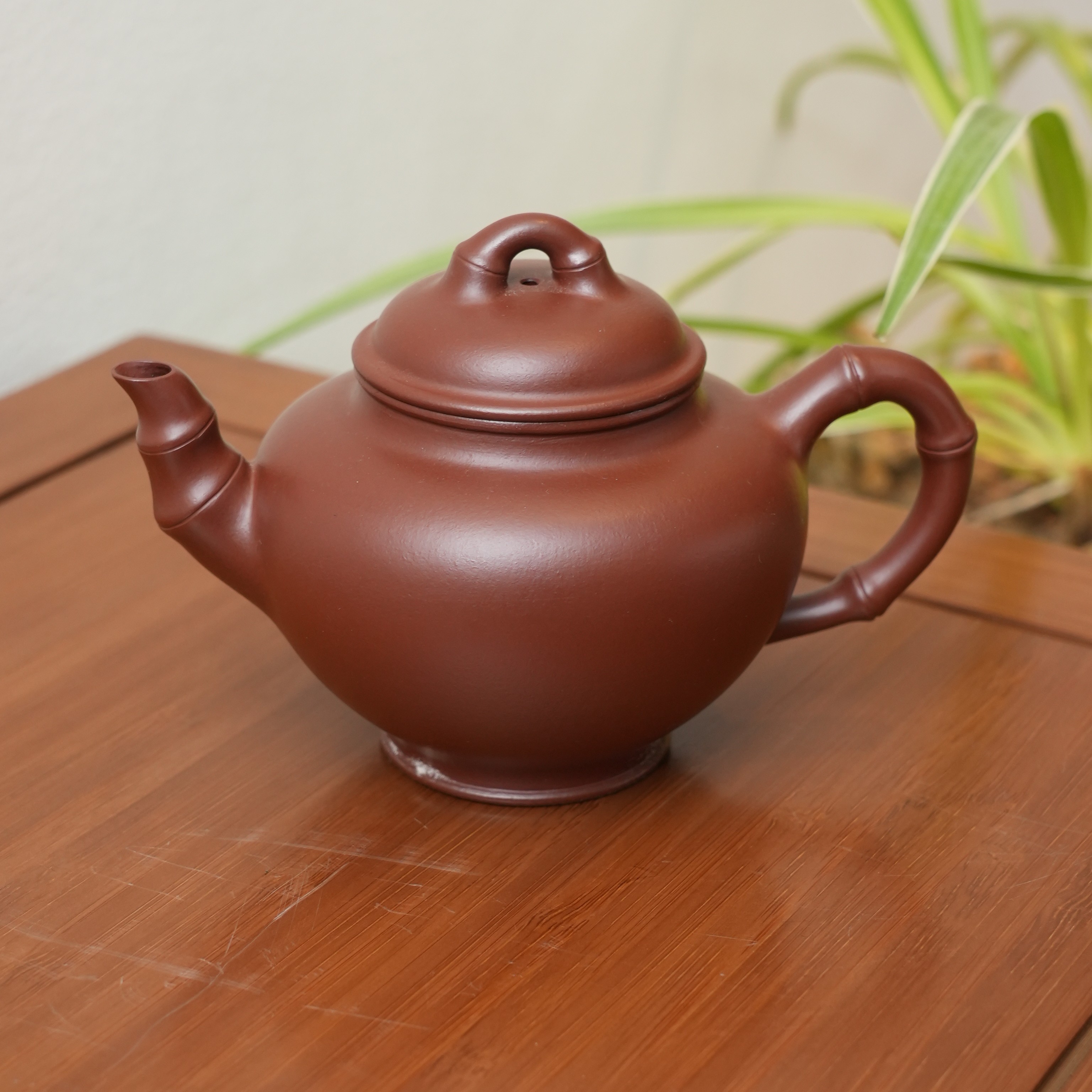 紫袍玉砂-竹报春MH-1808-240毫升