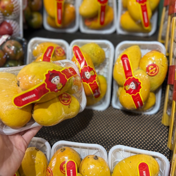 小台芒果   盒